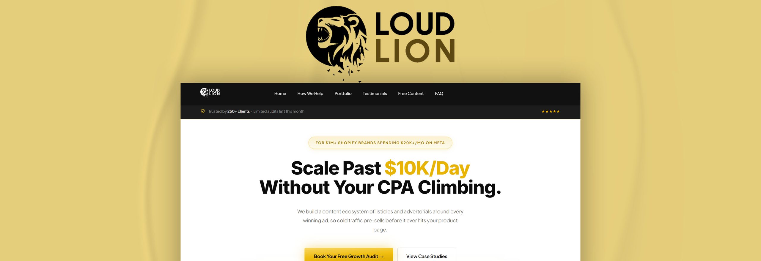 Loud Lion’s E-Commerce Marketing Agency